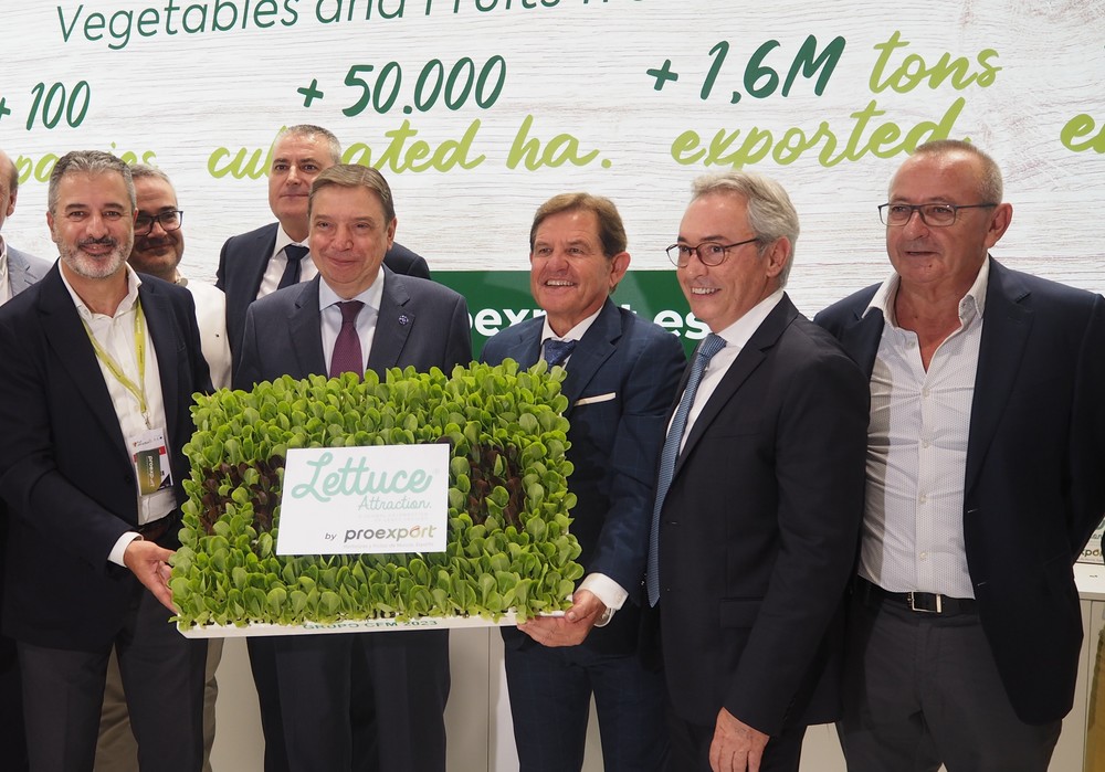 Generar confianza, posicionar el producto español y captar nuevos clientes, objetivos de Proexport en Fruit Attraction 2024